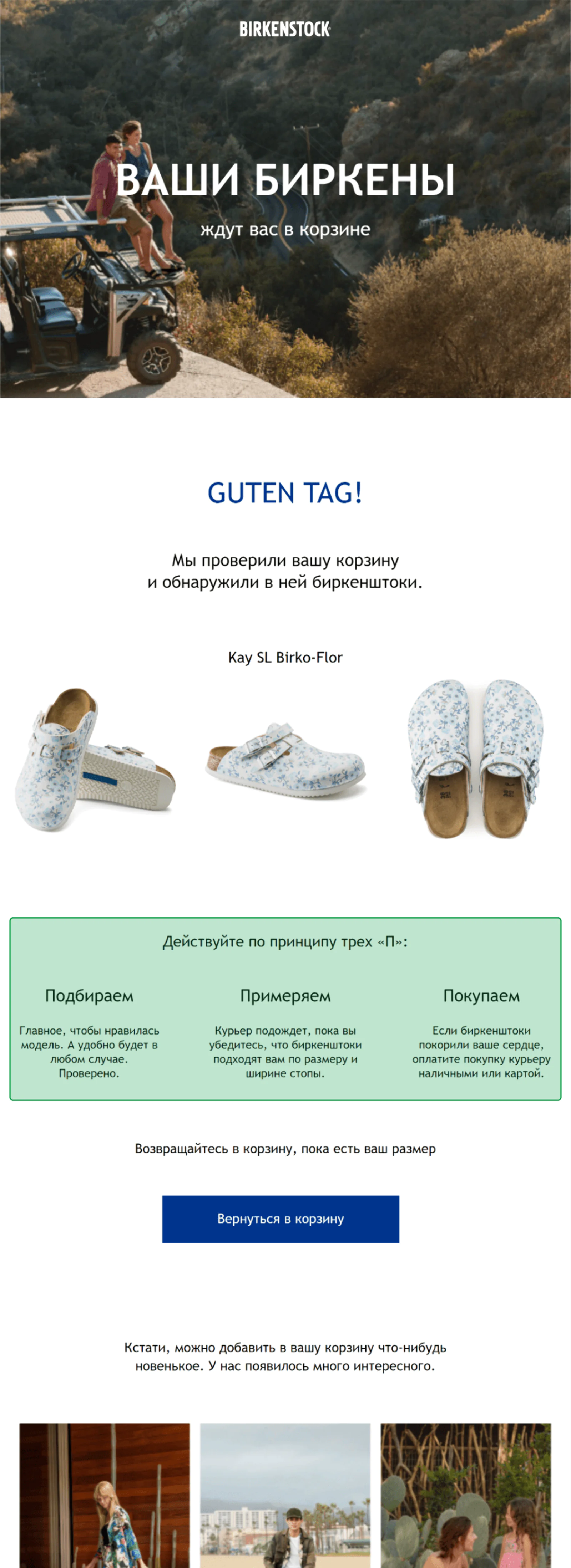 Одно письмо о брошенной корзине Одно письмо о брошенной корзине