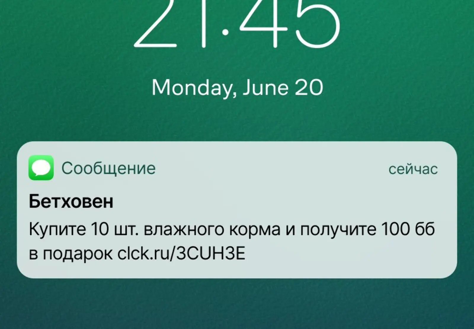 Конверсия в заказ по last click — 6,56% для сегмента владельцев собак и 4,93% для сегмента владельцев кошек
