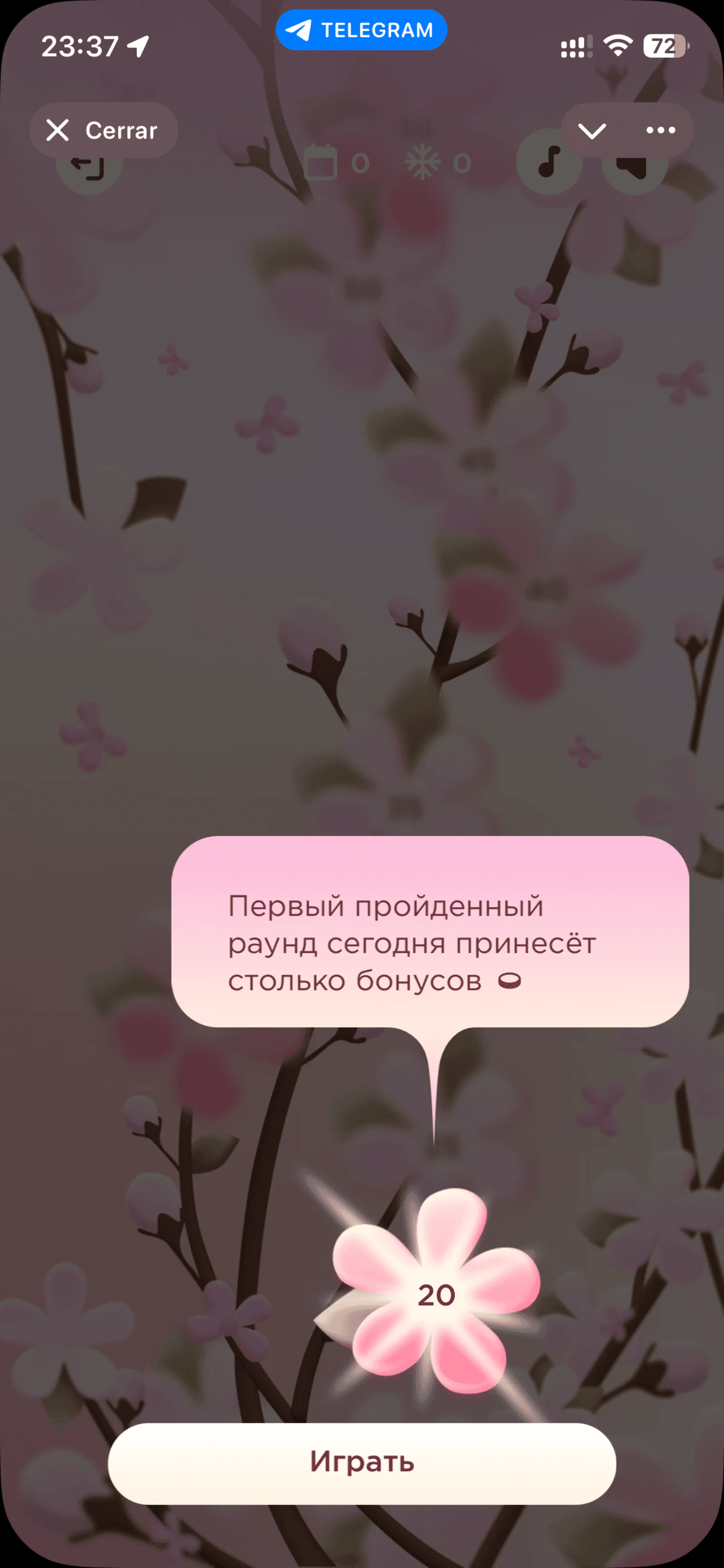 Интернет-магазин в Telegram: как и зачем делать