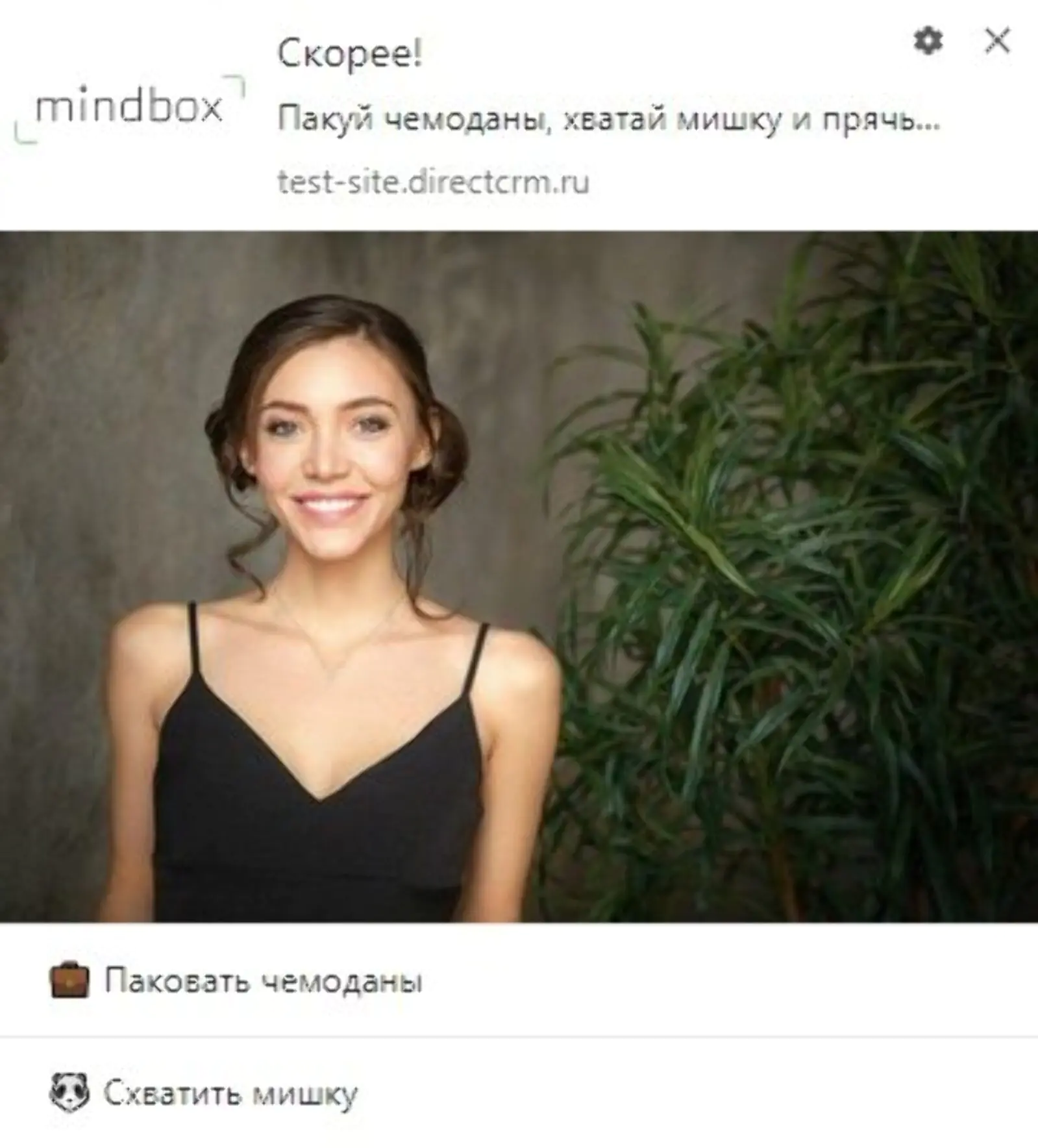 Типичный вебпуш Типичный вебпуш