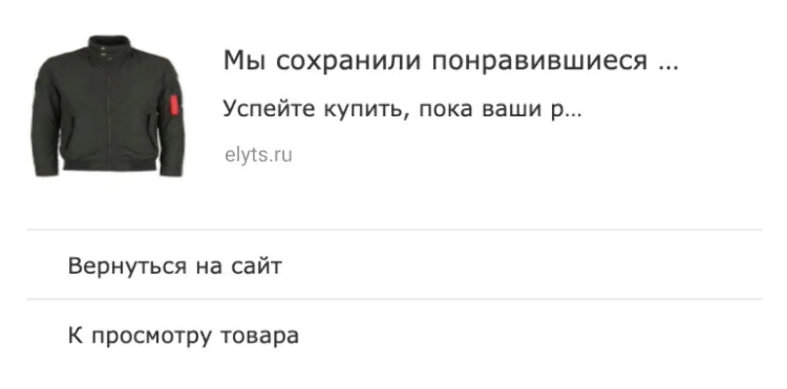 Вебпуш с фотографией товара вместо иконки сайта Вебпуш с фотографией товара вместо иконки сайта