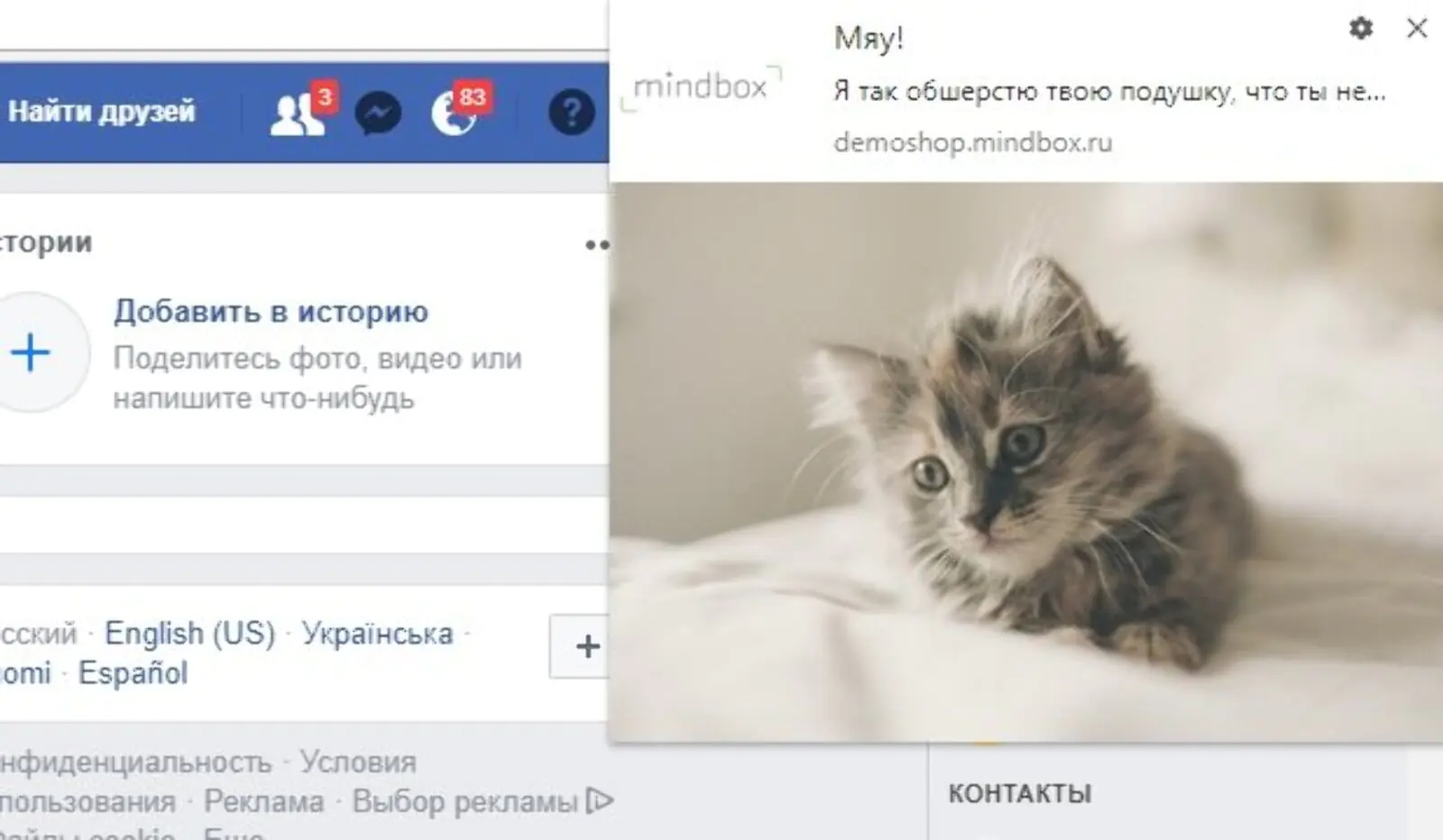 Семену нравится котик на facebook Семену нравится котик на facebook