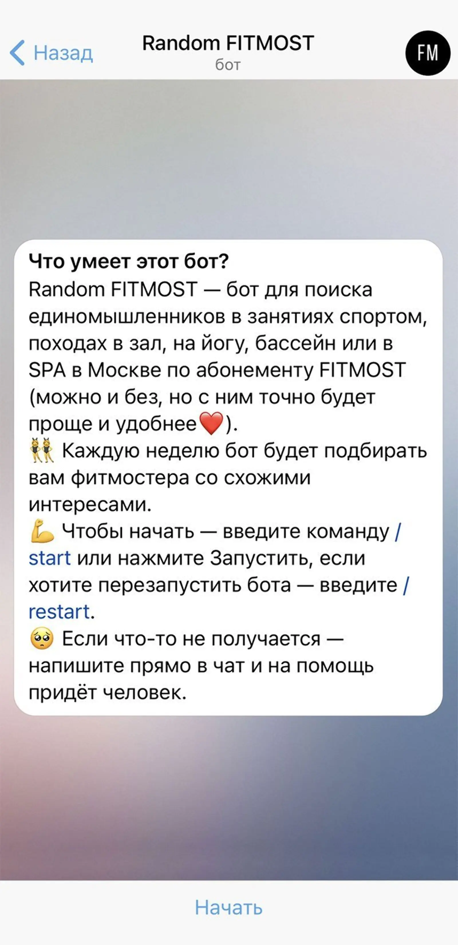 Чат-бот Random Coffee помогает найти партнера для совместных занятий