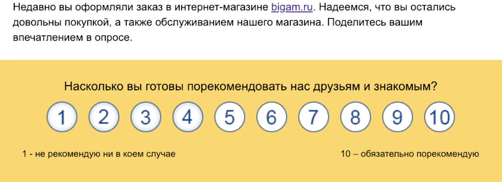 Письмо с опросом после заказа в магазине «Бигам»