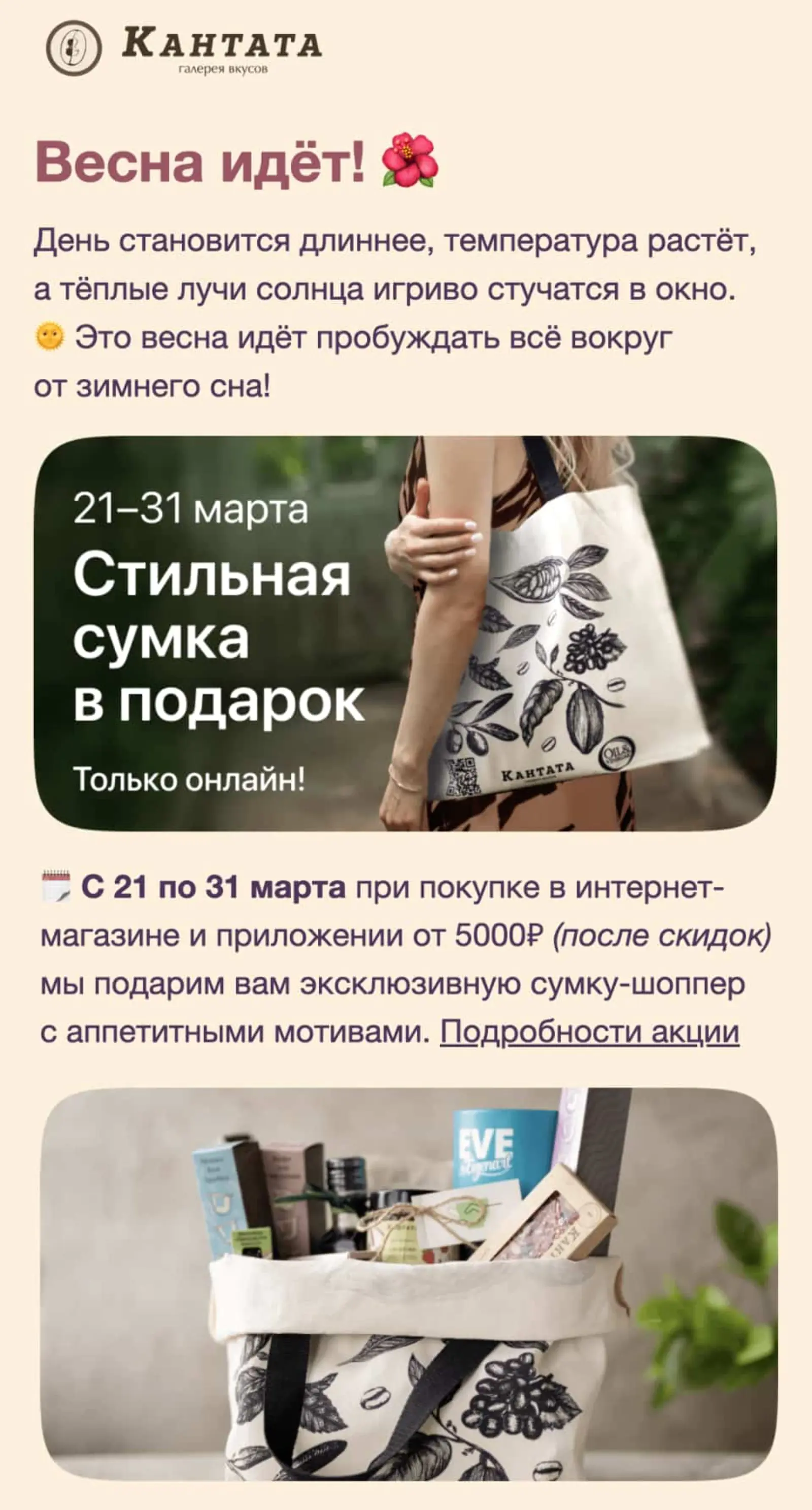 Рассылка бренда «Кантата», источник Email-Competitors