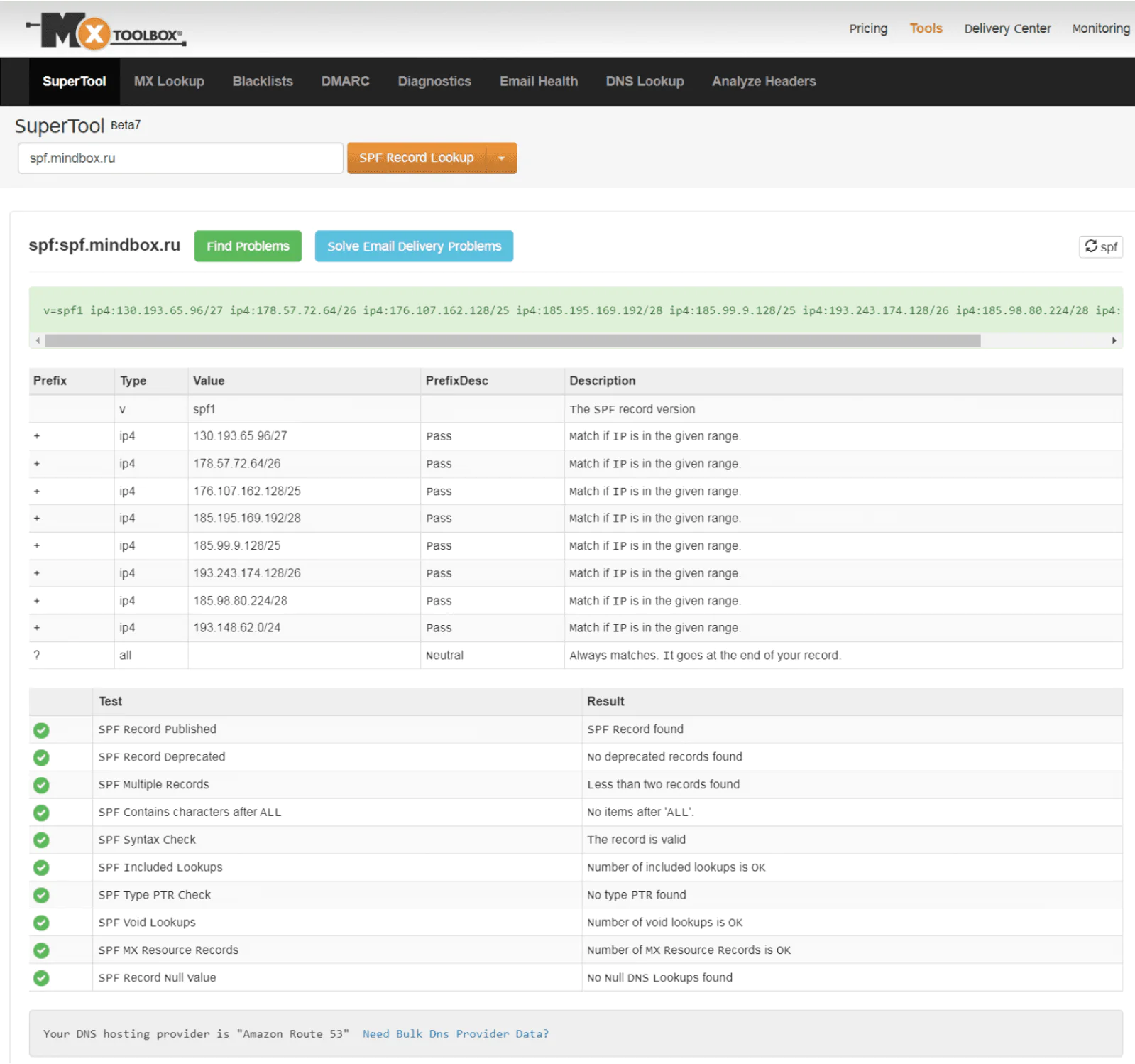 В сервисе MXToolbox можно проверить валидность каждого элемента отдельно и всю запись целиком