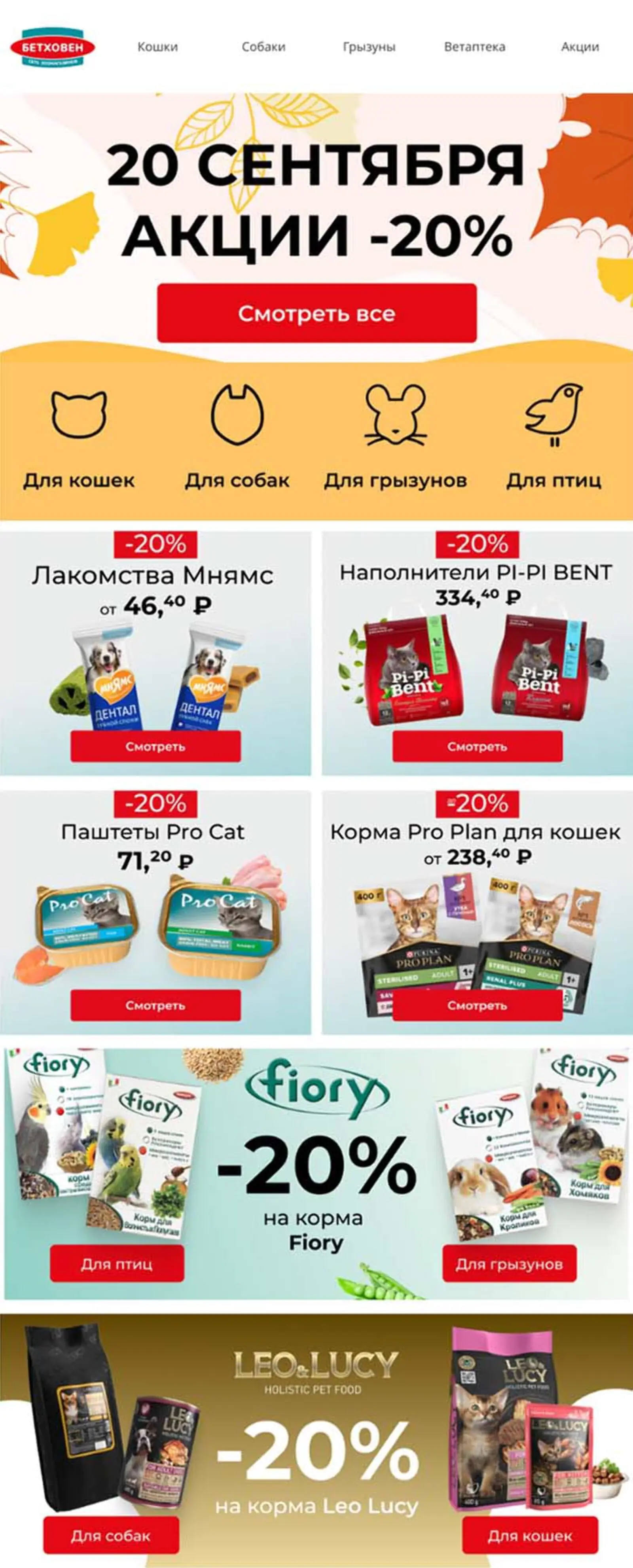 Письмо о массовой промоакции для стимулирования продаж высокомаржинальных товаров. Конверсия в заказ по last click — 4%