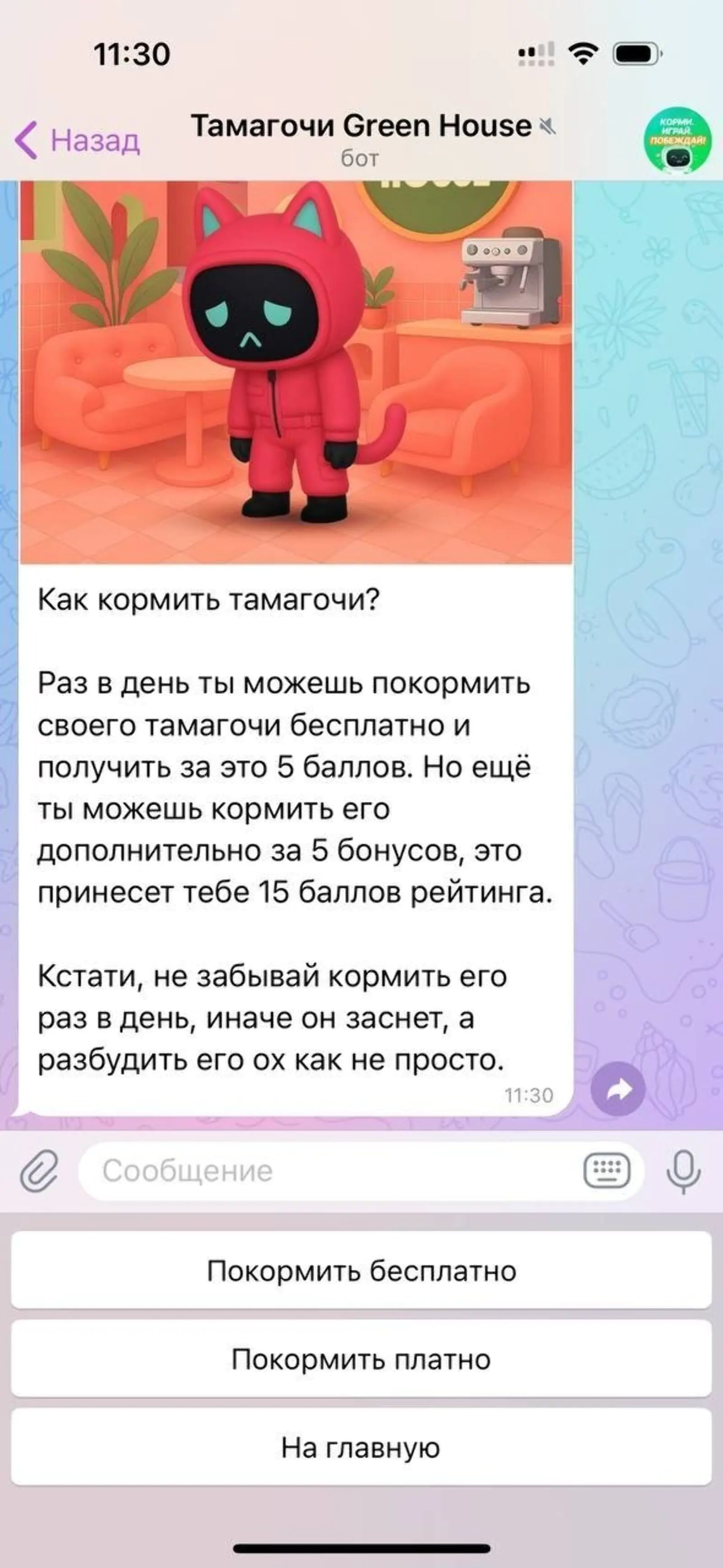 Виртуальный тамагочи грустил и засыпал, если хозяин больше суток его не кормил. Разбудить питомца можно было за 10 бонусов