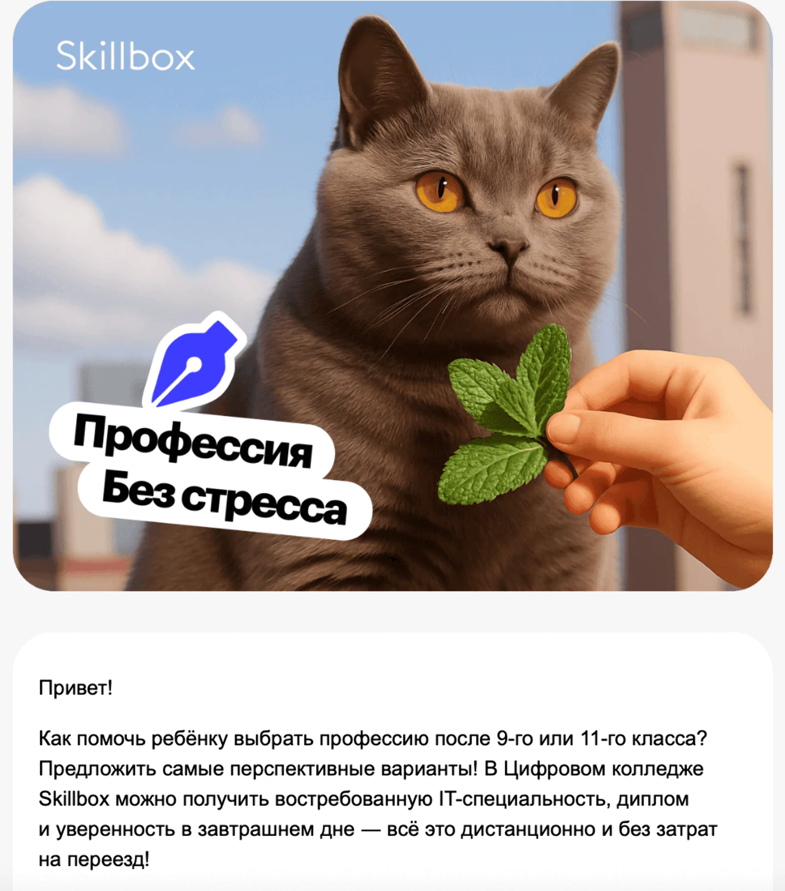 Картинка Сообщение Skillbox о плюсах онлайн-образования