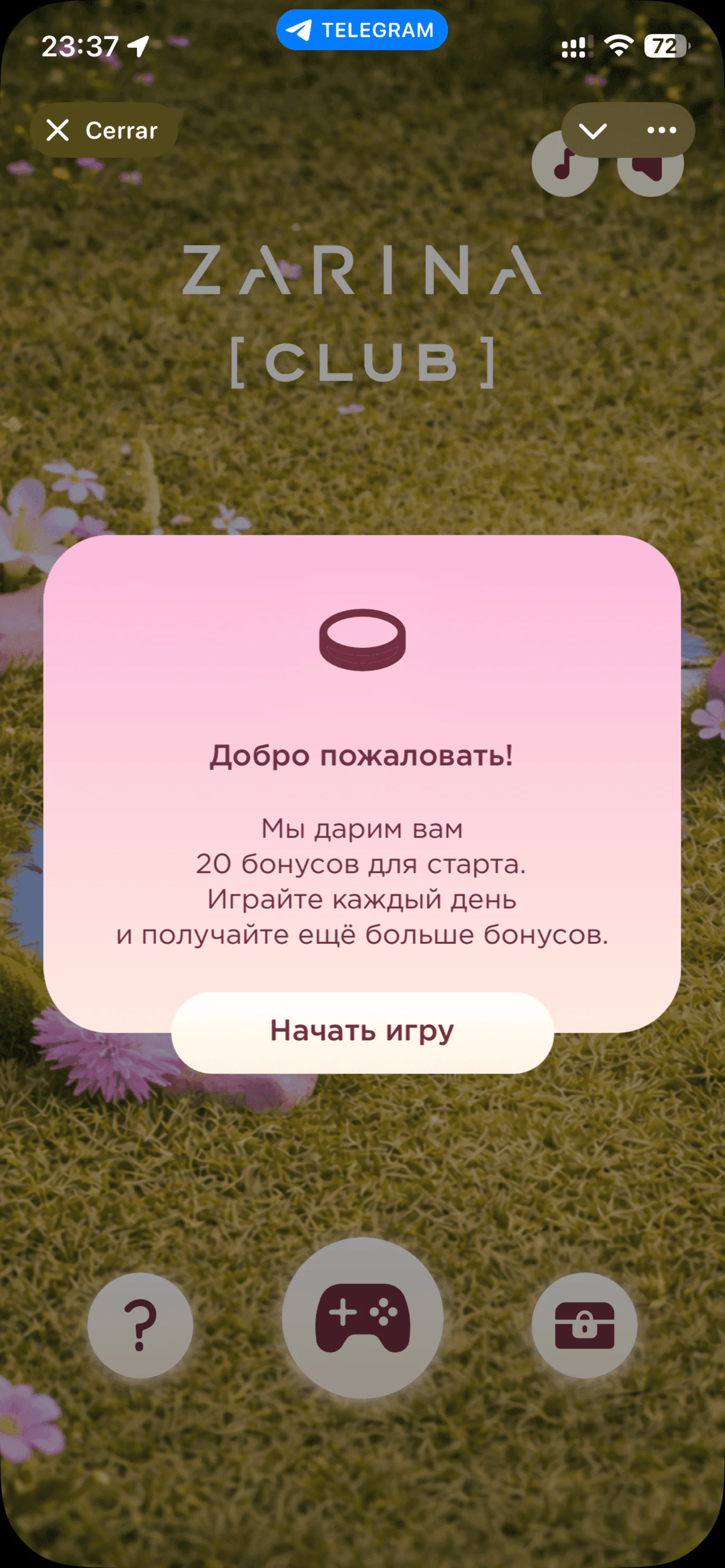Интернет-магазин в Telegram: как и зачем делать