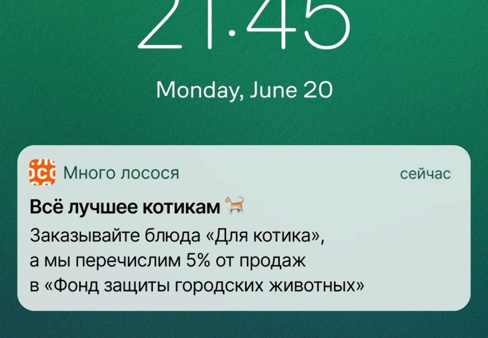 Пуш о благотворительном проекте. Средние показатели за год для iOS: сlick rate — 0,78%, конверсия в заказ — 0,17%. Для Android: сlick rate — 0,62%, конверсия в заказ — 0,12%