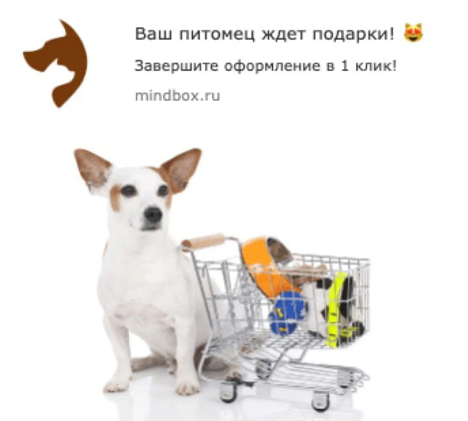Картинка «Собачий» вебпуш