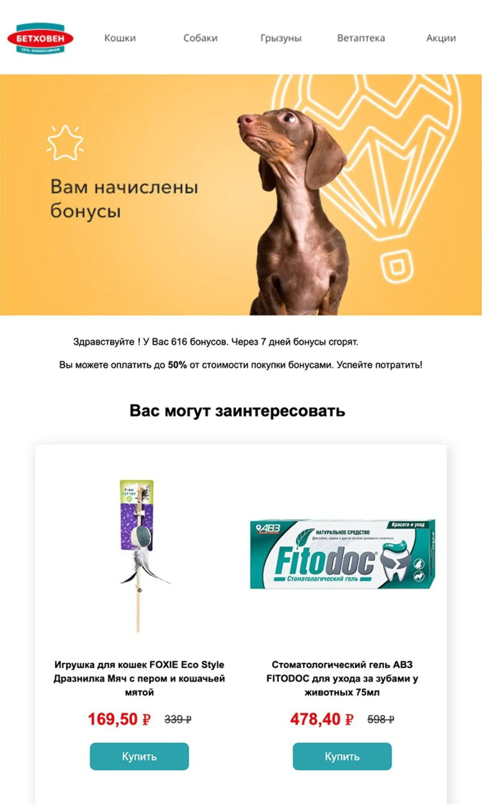 Письмо о сгорании бонусов. Open rate — 12,9%. Конверсия в заказ по last click — 0,2%