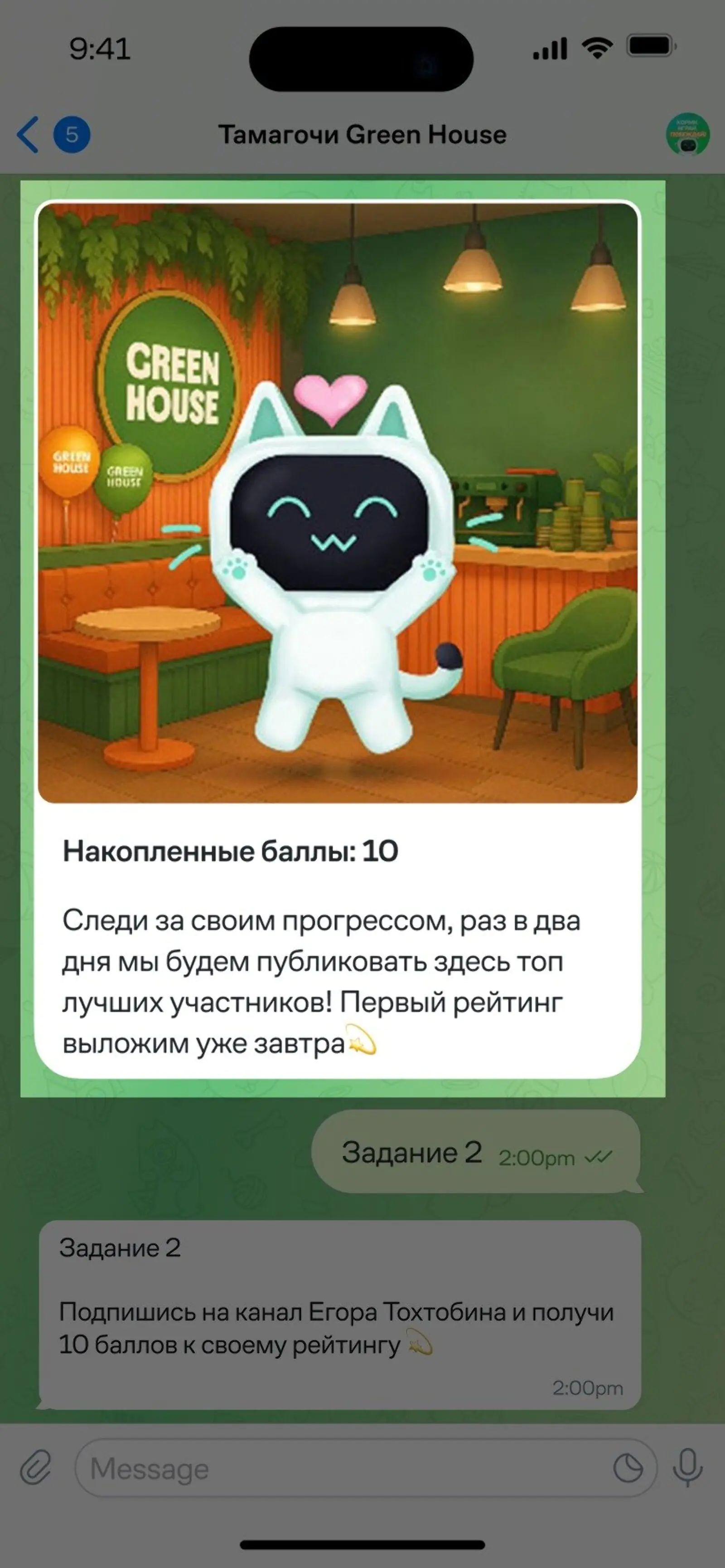 Участники копили игровые баллы и соревновались за статус самого заботливого хозяина Грини