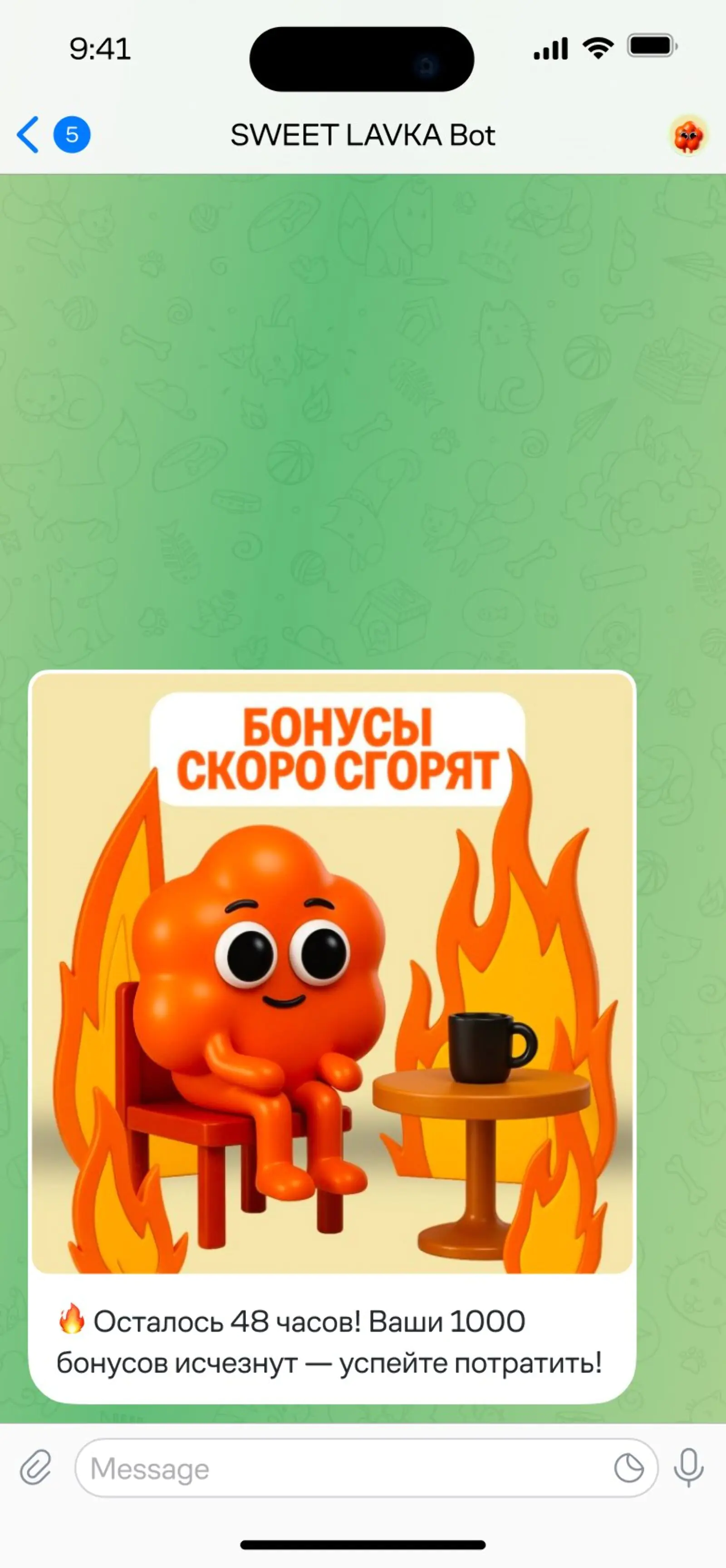 Если клиент так и не купил, за 2 дня до сгорания напоминают о бонусах еще раз