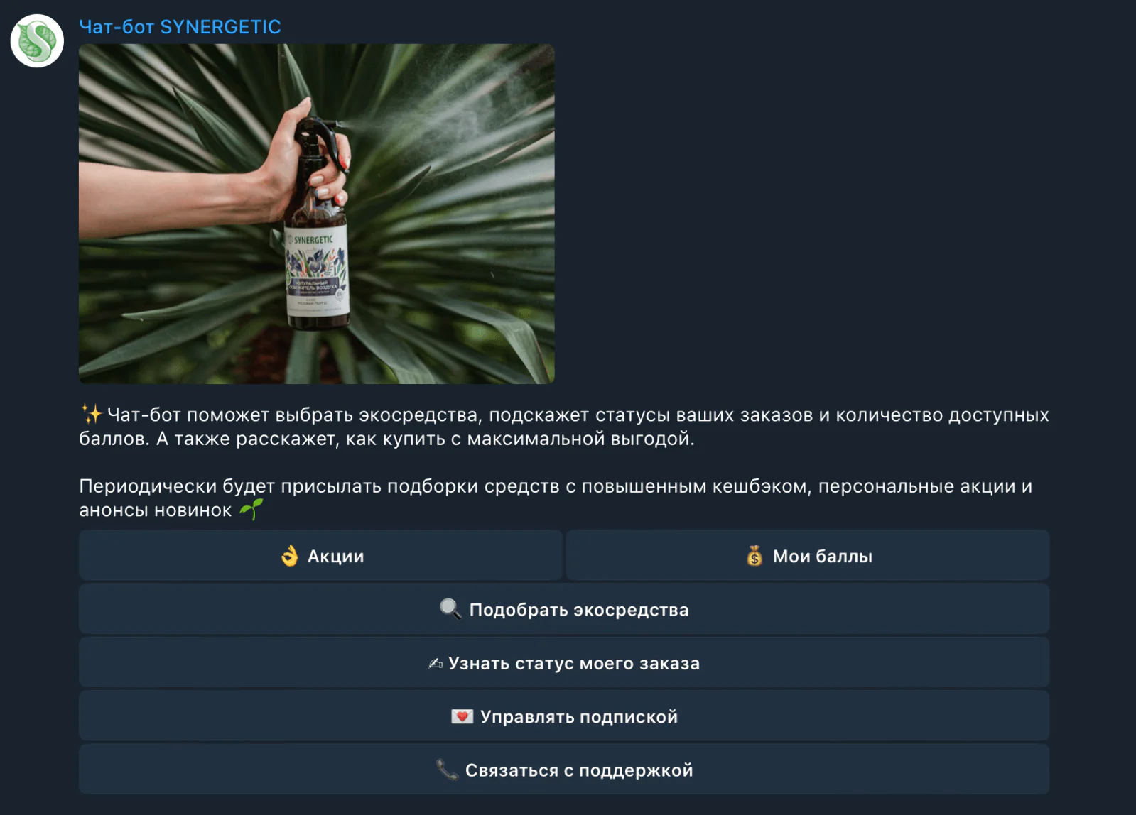 Картинка Меню Telegram-бота Synergetic. Бот приносит ~100 заказов в месяц