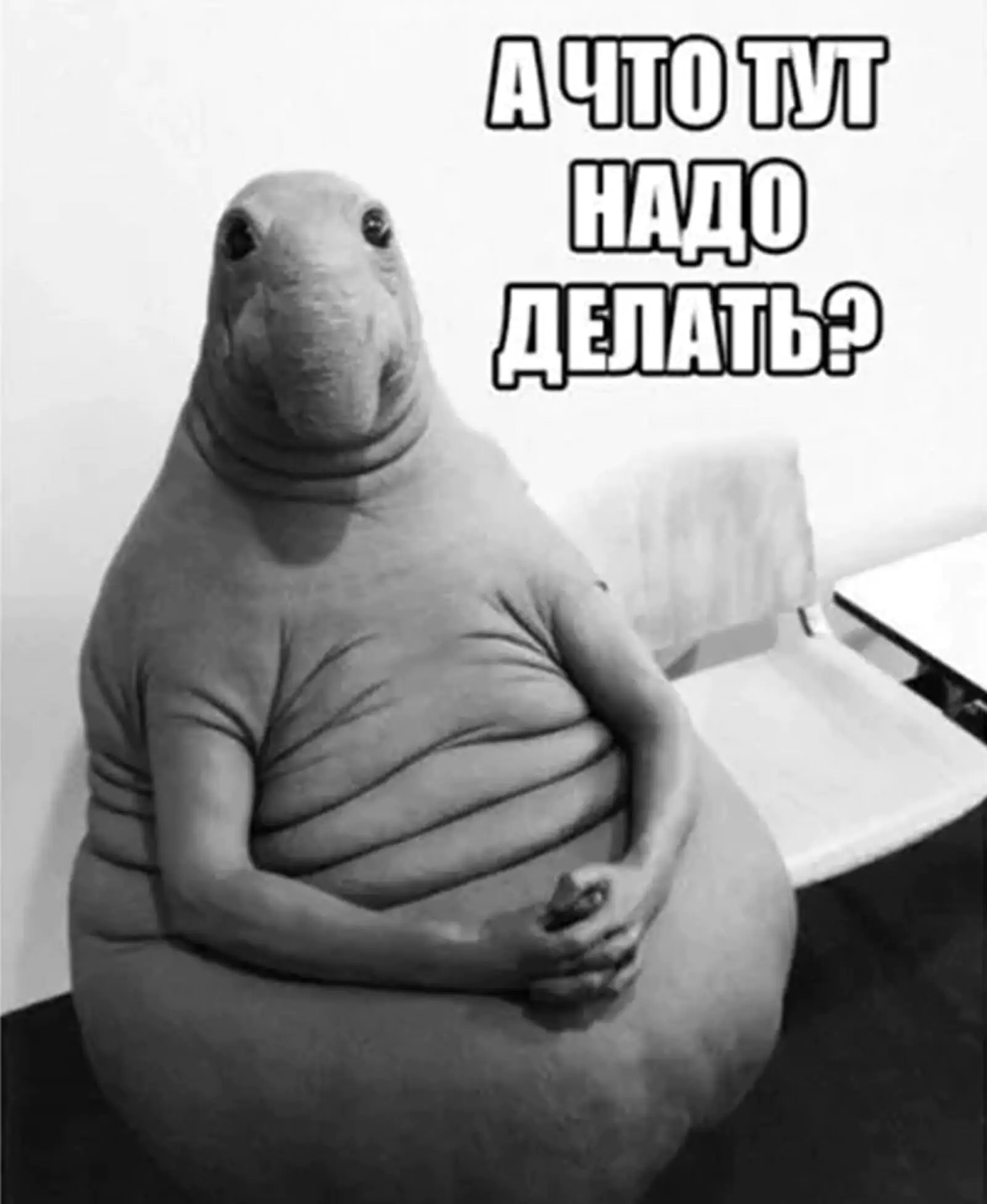 Ждун в первый день на работе