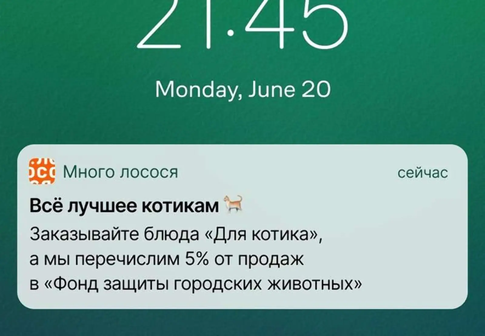 «Много лосося» отправляет клиентам пуш о благотворительном проекте