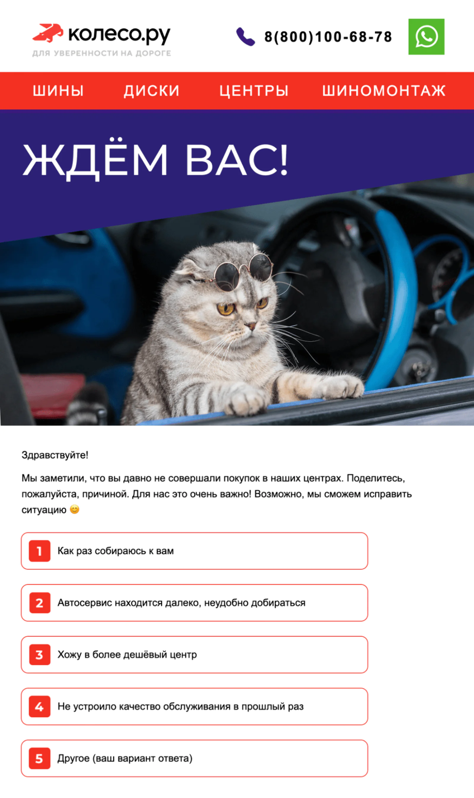 Картинка Опрос клиентов, которые не приехали в текущем сезоне. Open rate — 19,3%, click rate — 1,6%