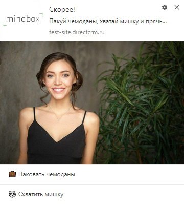 Типичный вебпуш Типичный вебпуш