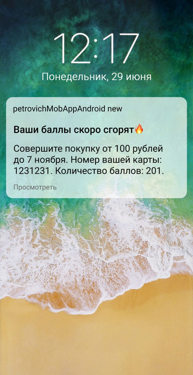 мобильный пуш «Петровича»