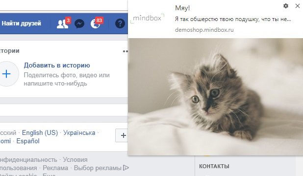 Семену нравится котик на facebook