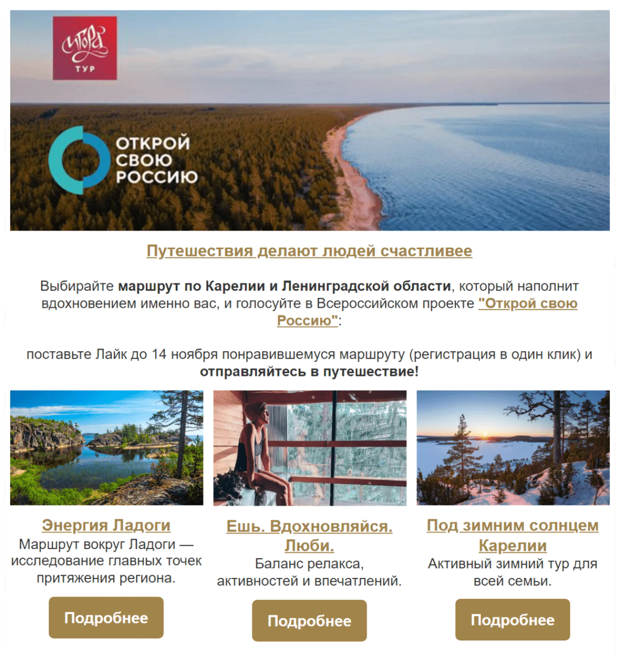 А так выглядит письмо, если его открыть в браузере